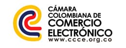 desarrollo web colombia